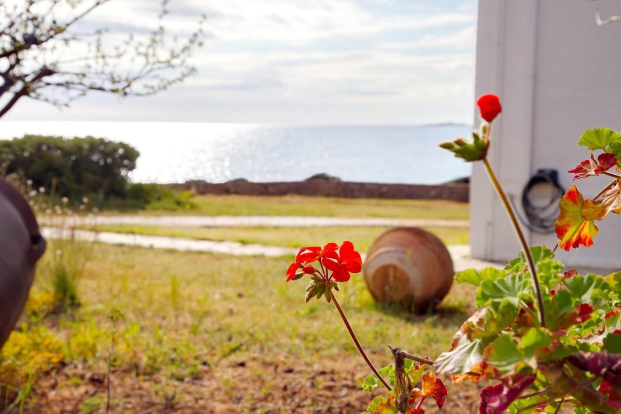 Aroura Homes 4Br Beachfront Villa Spétses Exterior foto